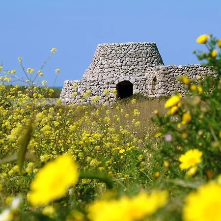 Villa Rosa Mediterranea *